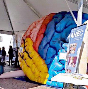A giant colorful brain helps with AHEC's community outreach.